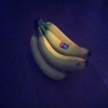 Bananas in a dark setting