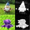 Pictures of a gnome and a flower with black and white versions next to them