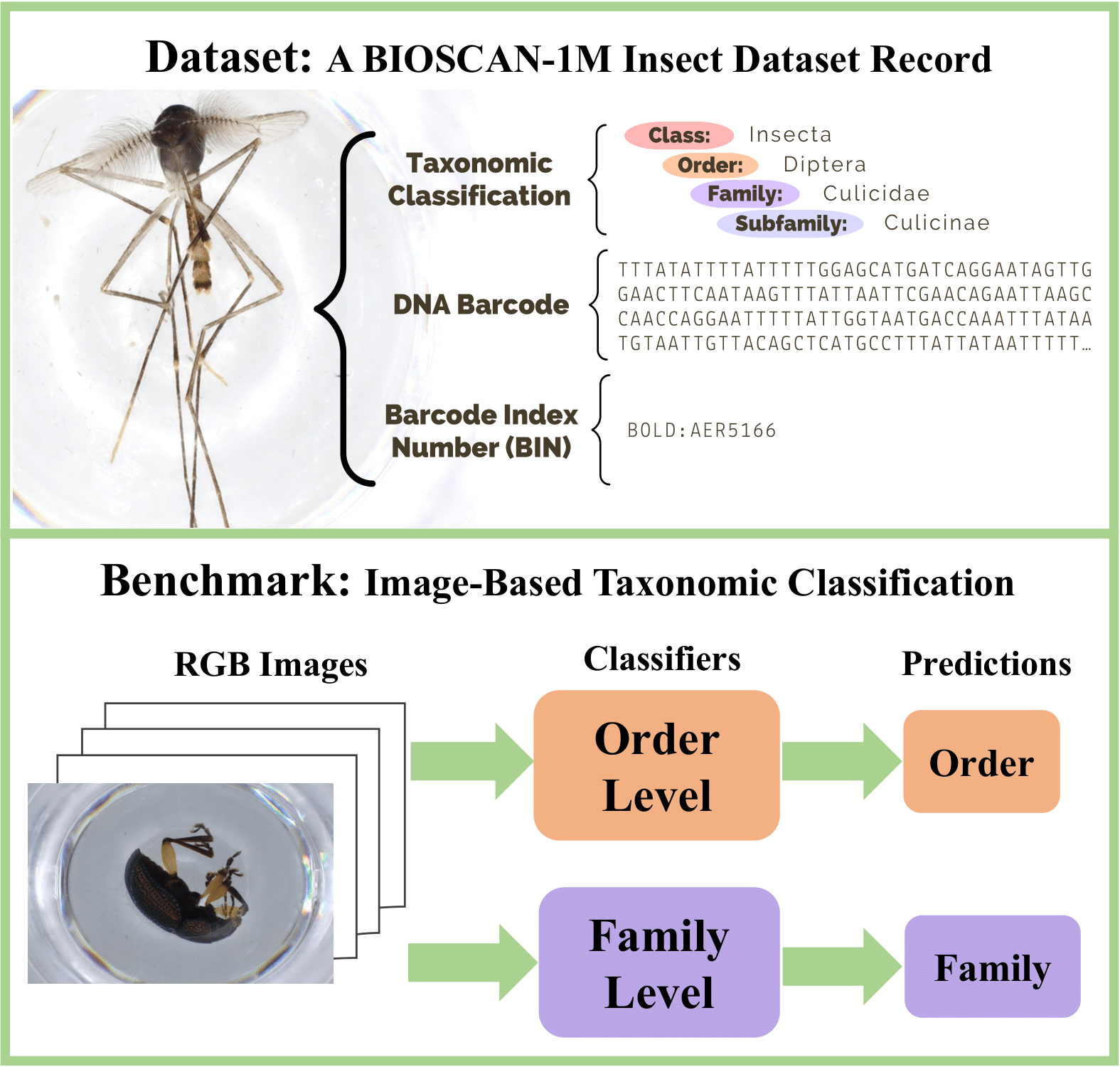 BIOSCAN Insect Biodiversity Assessment